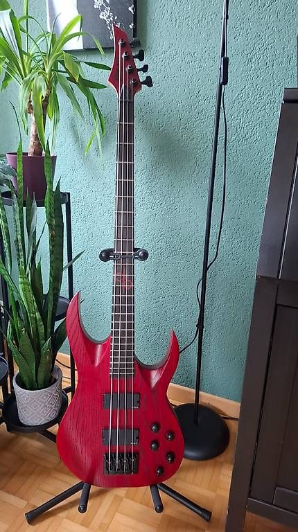 Instruments de musique: Bass Solar AB1.4ROP – D'occasion à Leutwil par Waldwatz 4