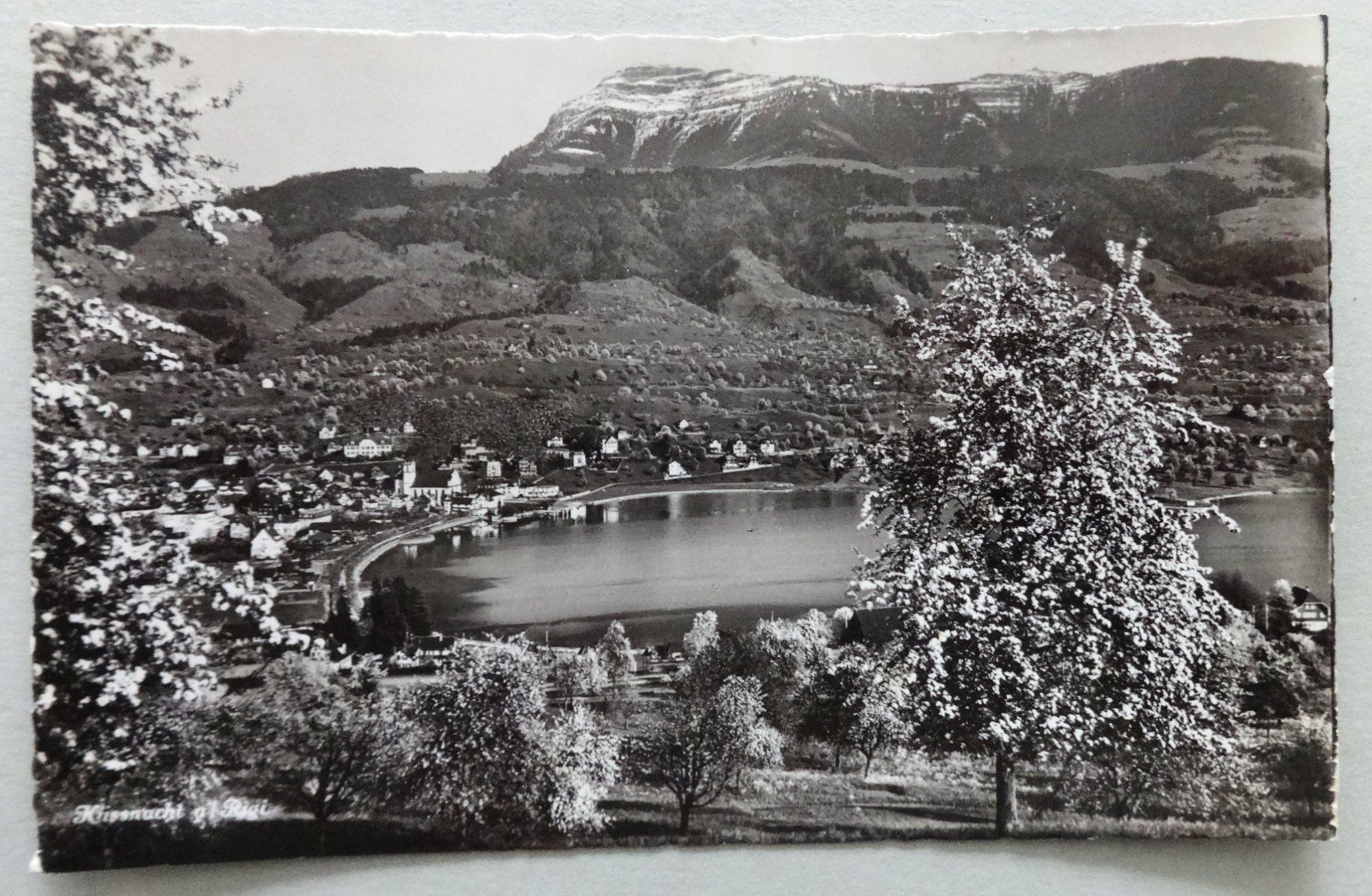 Ansichtskarten: Küssnacht am Rigi – Defekt aus Fétigny von Billy2miny
