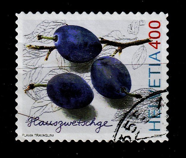 Tutti i francobolli: 2006 Hauszwetschge – Usato da Arlesheim venduto da gaugi43
