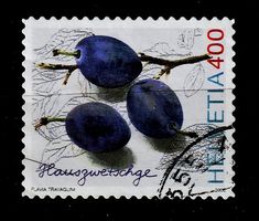 2006 Hauszwetschge