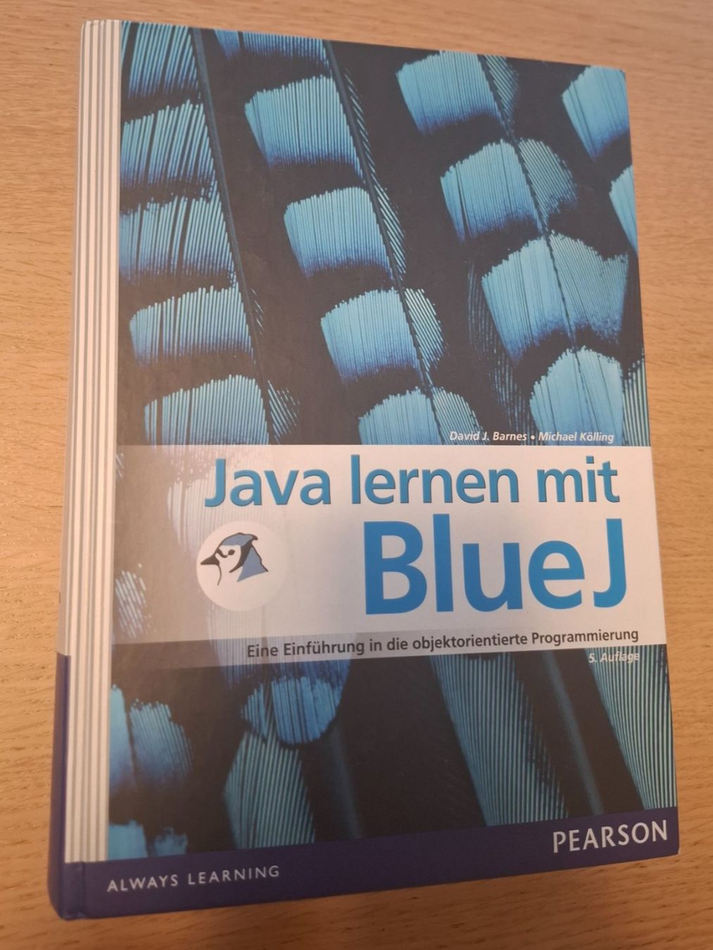 Libri: Java lernen mit BlueJ - Top Zustand, Inkl. CD-ROM! – Usato da Kollbrunn venduto da Intervall