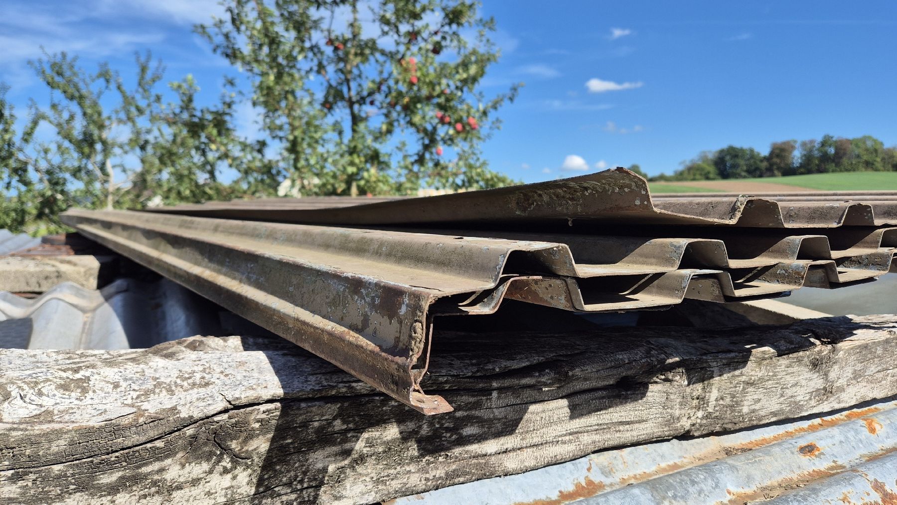 Pareti & Soffitti: Trapezblech, Wellblech – Usato da Wetzikon ZH venduto da Fagus 3