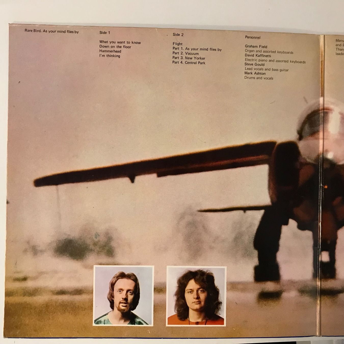 Dischi in vinile: Rare Bird - As Your Mind Flies By – Usato da Aesch BL venduto da BlueMusicRecords 2