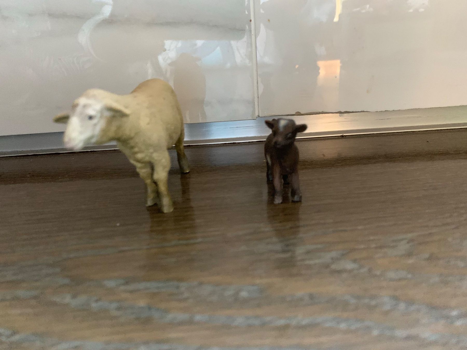Schleich Statuette: Schleich Schaf und Zicklein – Usato da Richterswil venduto da irenemiz
