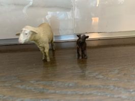 Schleich Schaf und Zicklein