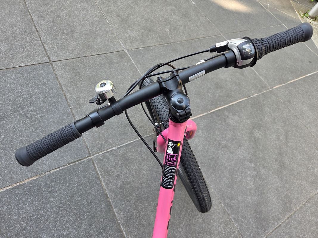 Naloo Velos: NALOO Kindervelo | Chameleon 24" – Gebraucht aus Luzern von Restwert_Luzern 5