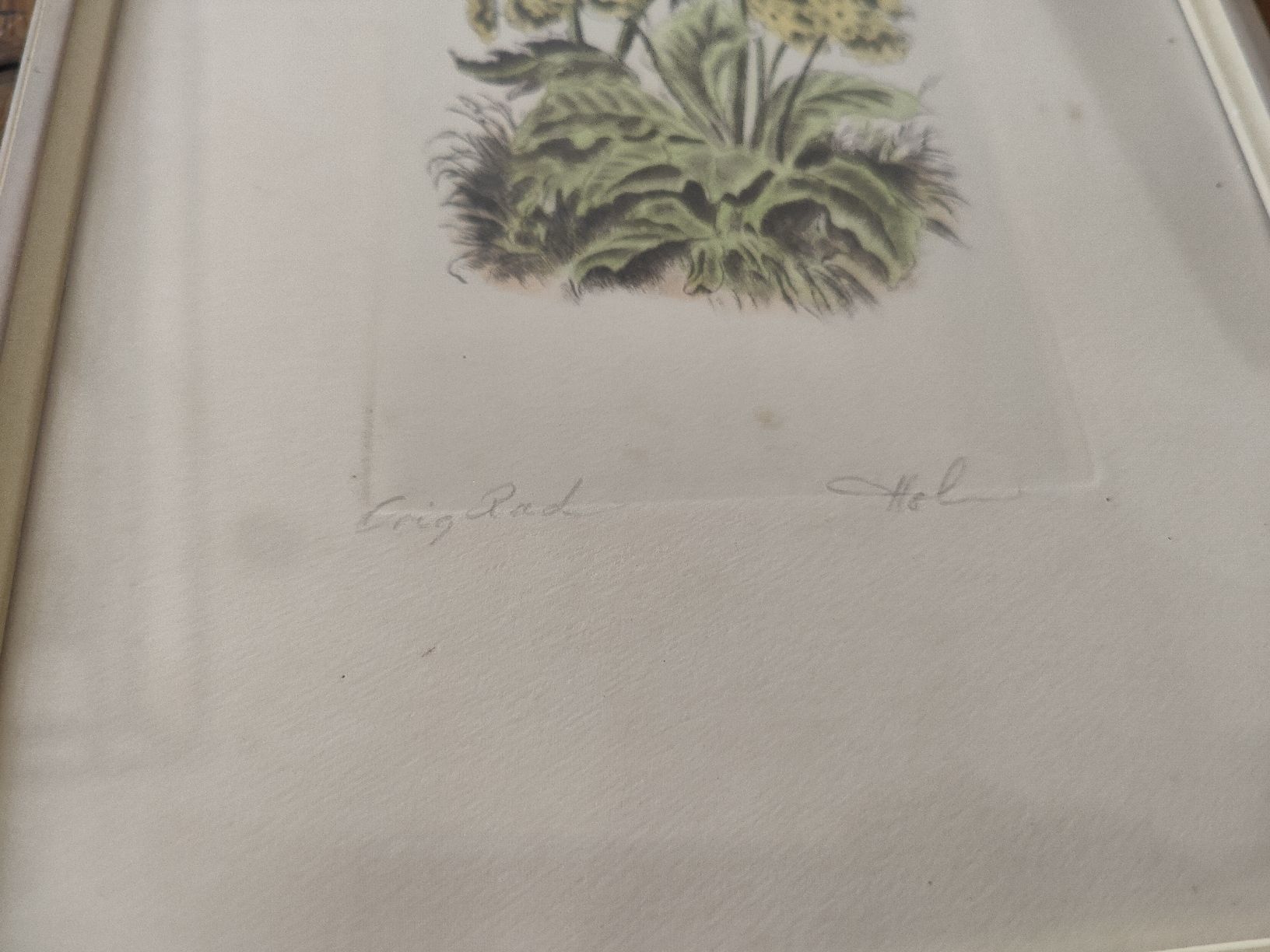 Dipinti: Originale Frühlings-Grafik im Rahmen. – Usato da Wetzikon ZH venduto da SparrowJack111 1