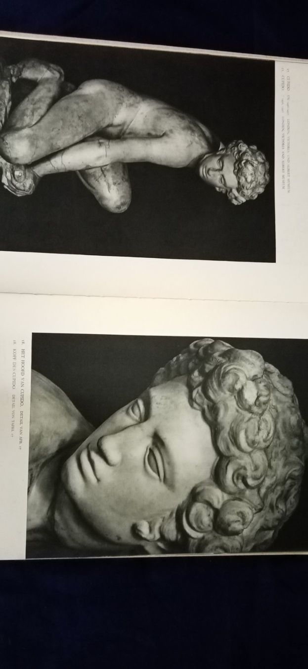 Libri: Michelangelo, Bildband – Usato da Büsingen venduto da Flohminator 3