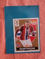 EXTRA STICKER PANINI – ERLING HAALAND 🇳🇴