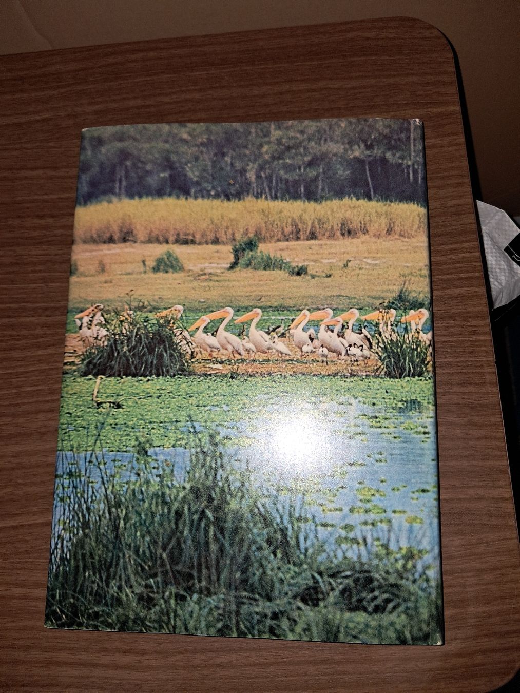 Libri: Livre le Congo mysterieux – Usato da Le locle venduto da juliensaran 3