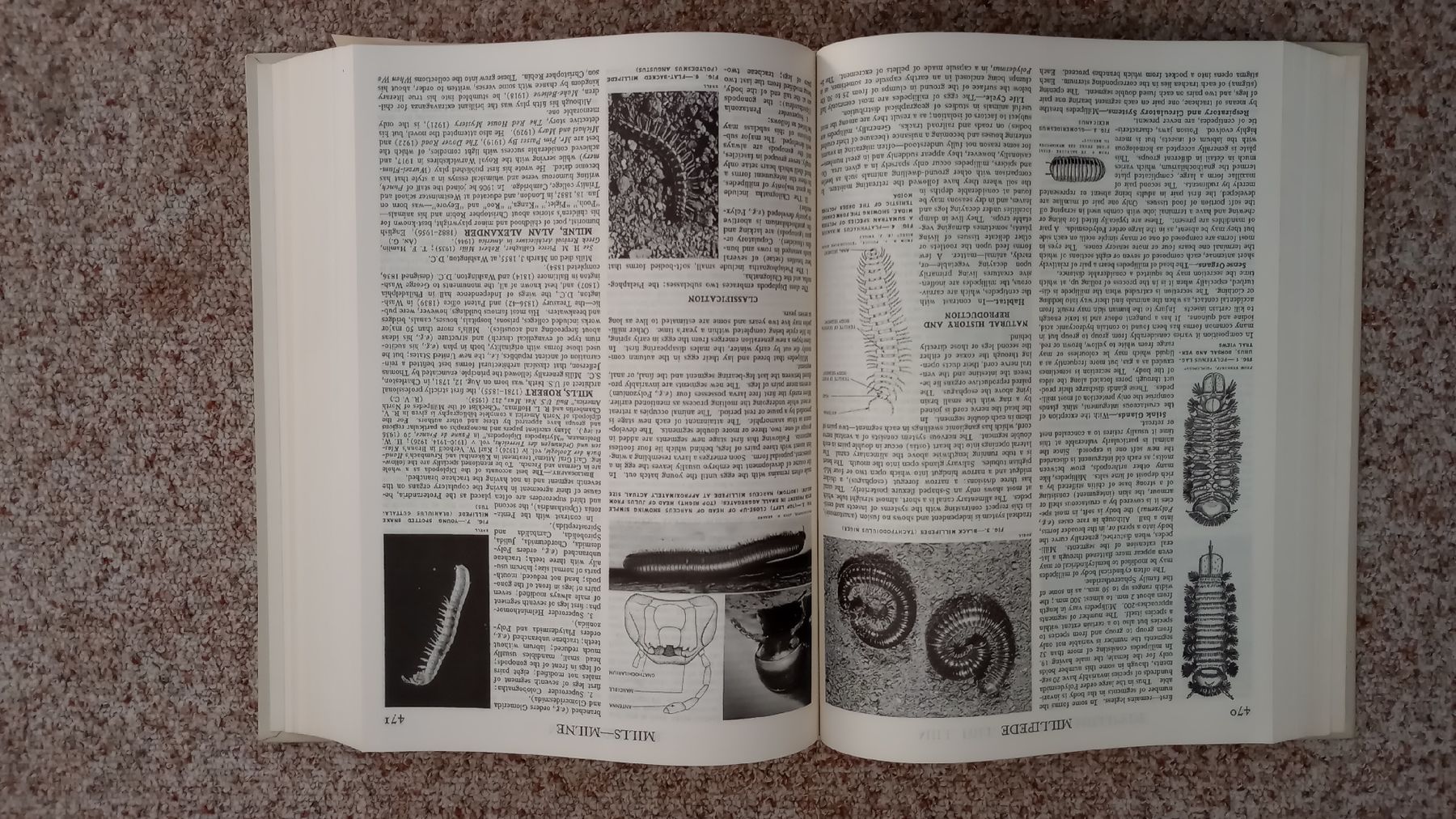Libri: Encyclopédie Britannica – Usato da Lonay venduto da DanBadoux 4