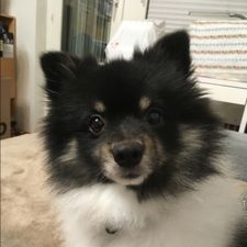 Profile image of blinky1