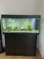 Juwel Rio 180 Aquarium mit Unterschrank zu verkaufen.
