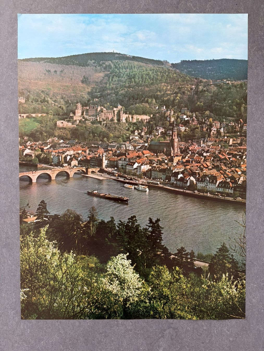 Foto & Immagini: Original Vintage Poster - Heidelberg – Usato da Zürich venduto da jesulin05