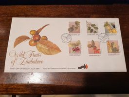 Enveloppe 1er jour Zimbabwe 1991 - Fruits sauvages! (52)