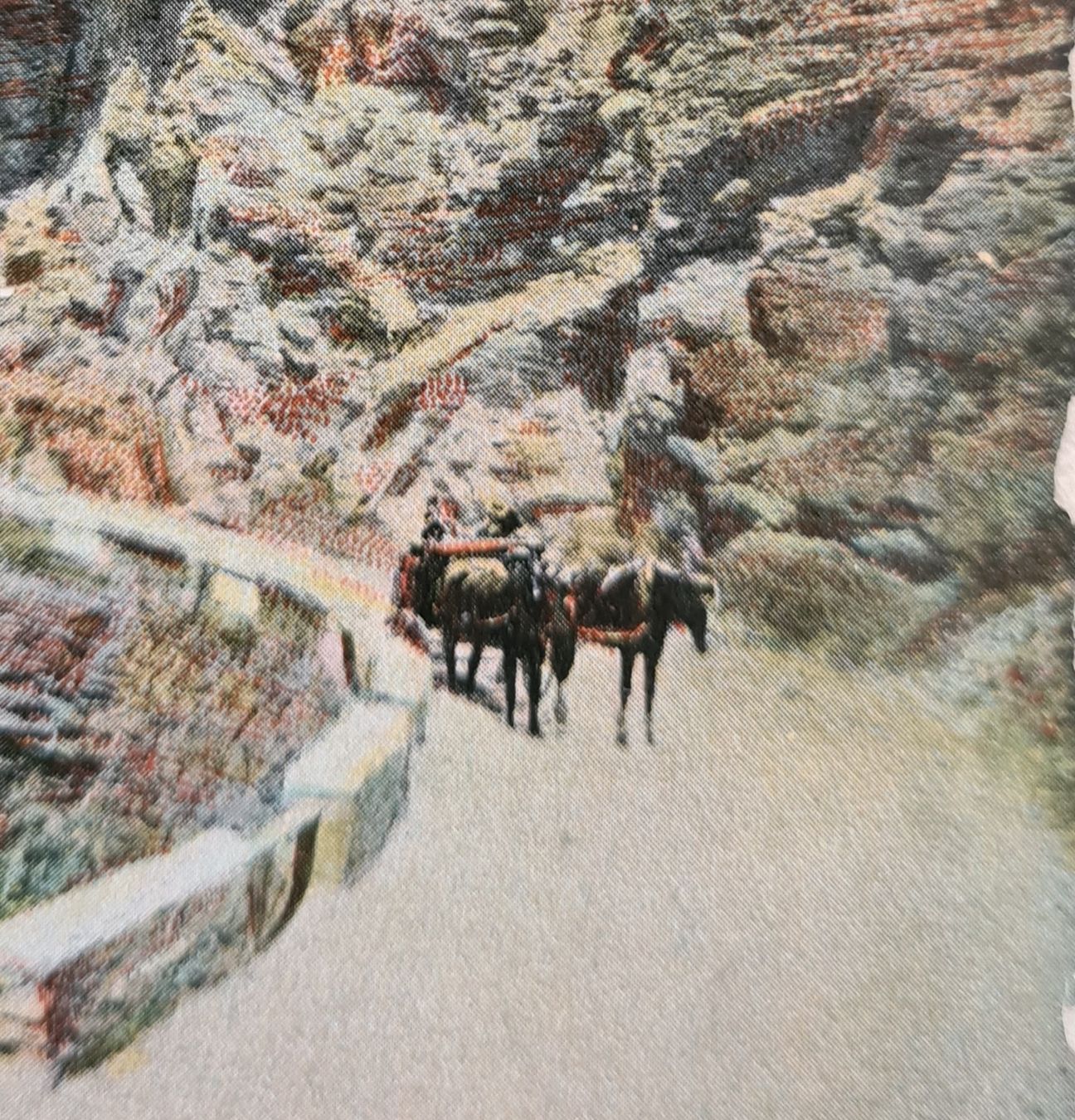 Cartoline postali: Axenstrasse mit Pferdefuhrwerk – Usato da Ebikon venduto da Donar50 1