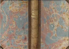 Romain Rolland - Meister Breugnon, Ein froehliches Buch 1920
