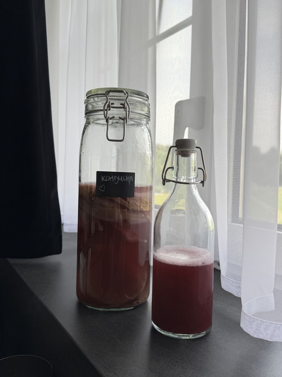 Cibi & Specialità: Kombucha Scoby 🫧 – Nuovo (secondo la descrizione) da Herisau venduto da fust10