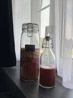 Kombucha Scoby 🫧