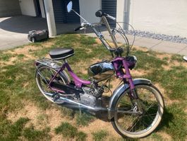 Sachs 502 Pony Junior M mit Ausweis