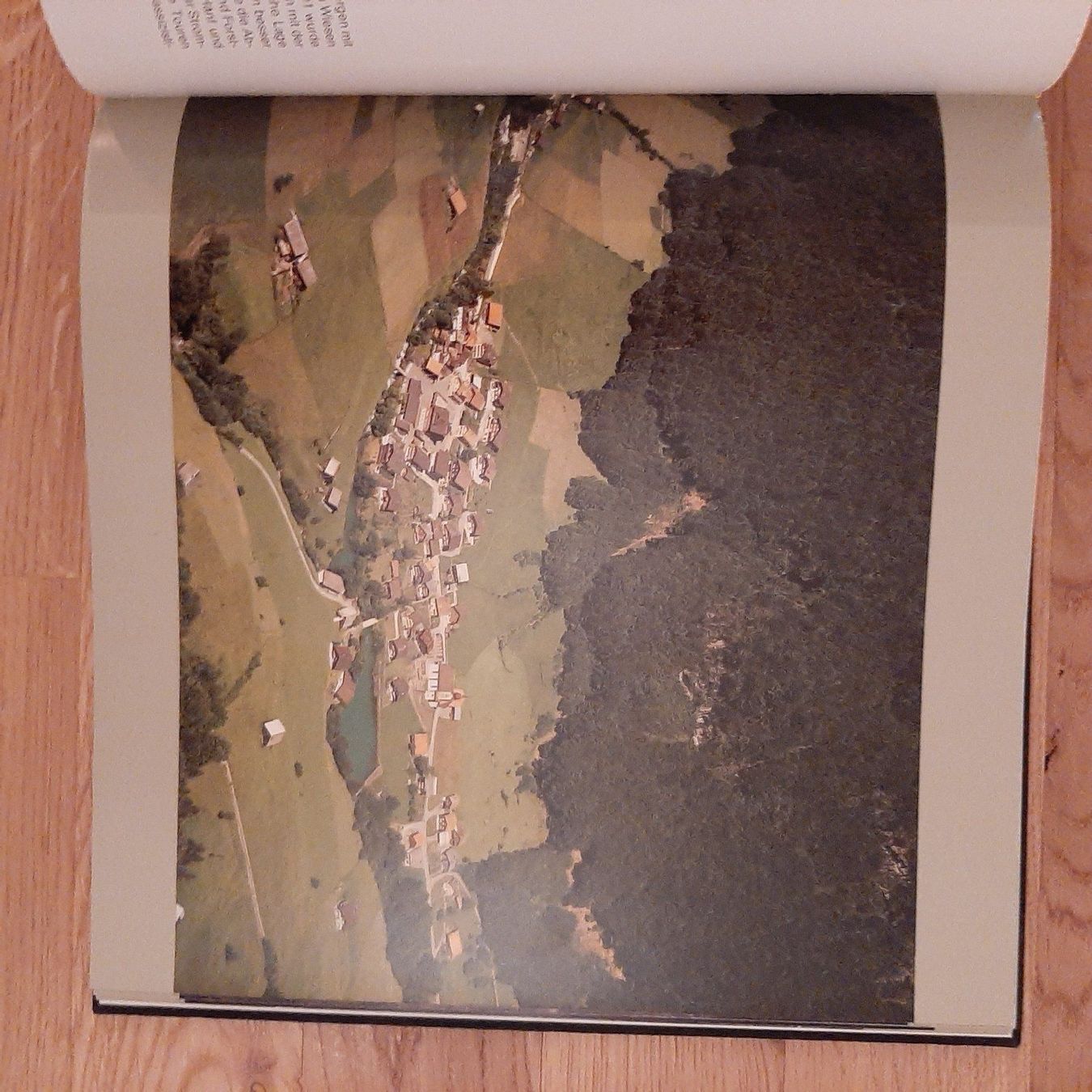 Libri: Flugbild Uri – Usato da Zürich venduto da Philotimo 6