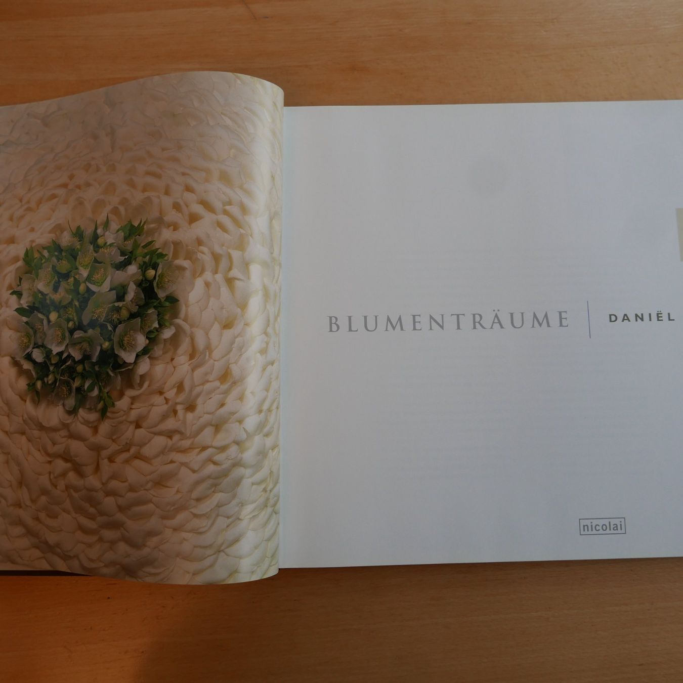Livres: Blumenträume  einmalig  33.5 x 33.5 cm – D'occasion à Rotkreuz par nigal 1
