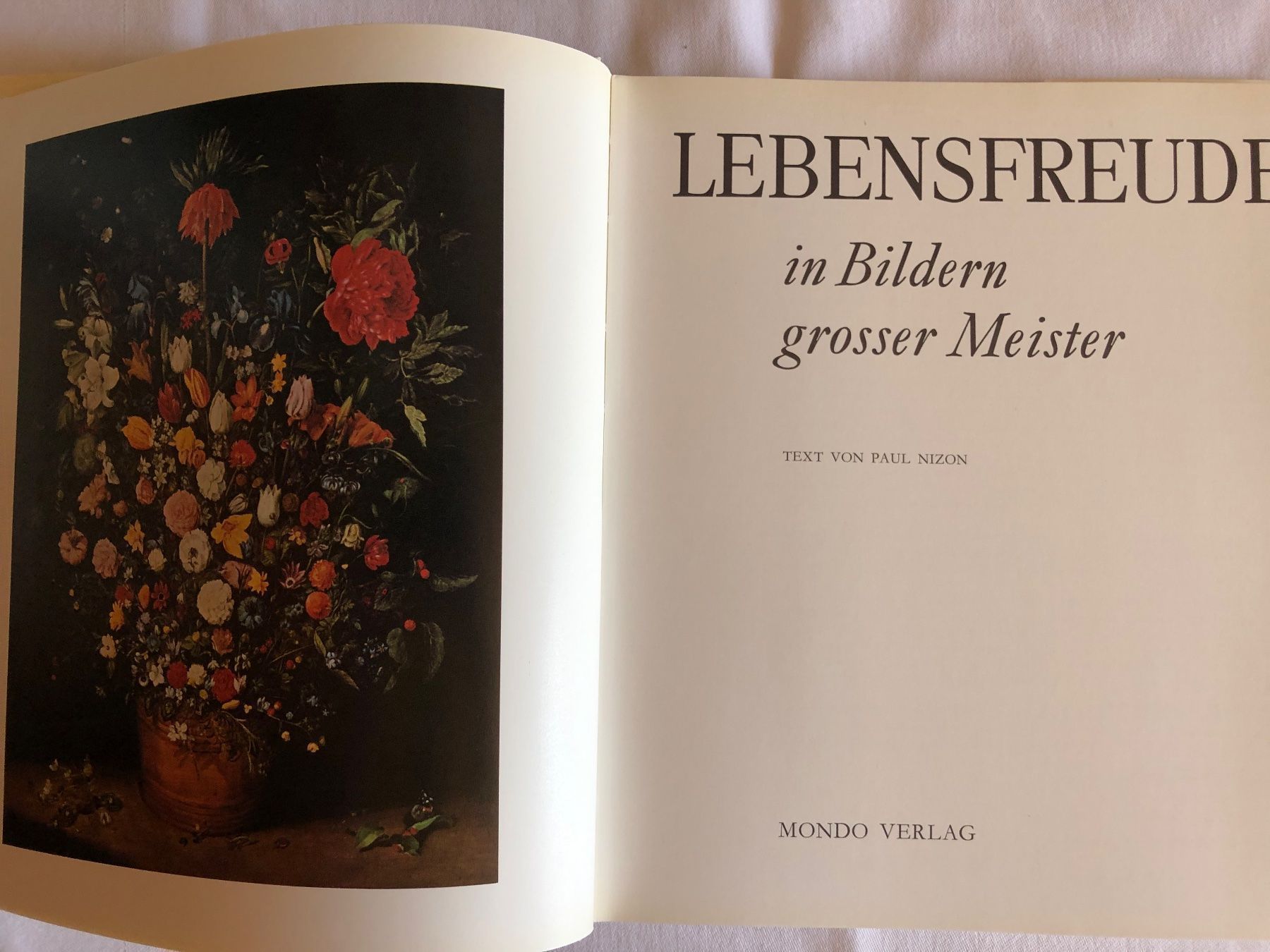 Libri: Buch Lebensfreude in Bildern – Usato da Wyssachen venduto da Hahe89 1