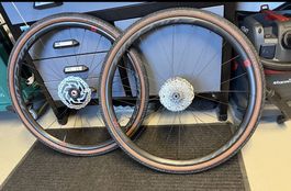 Fulcrum Laufrad Rapid Red AL Disc Laufrad
