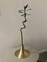 Vase Ligne Roset