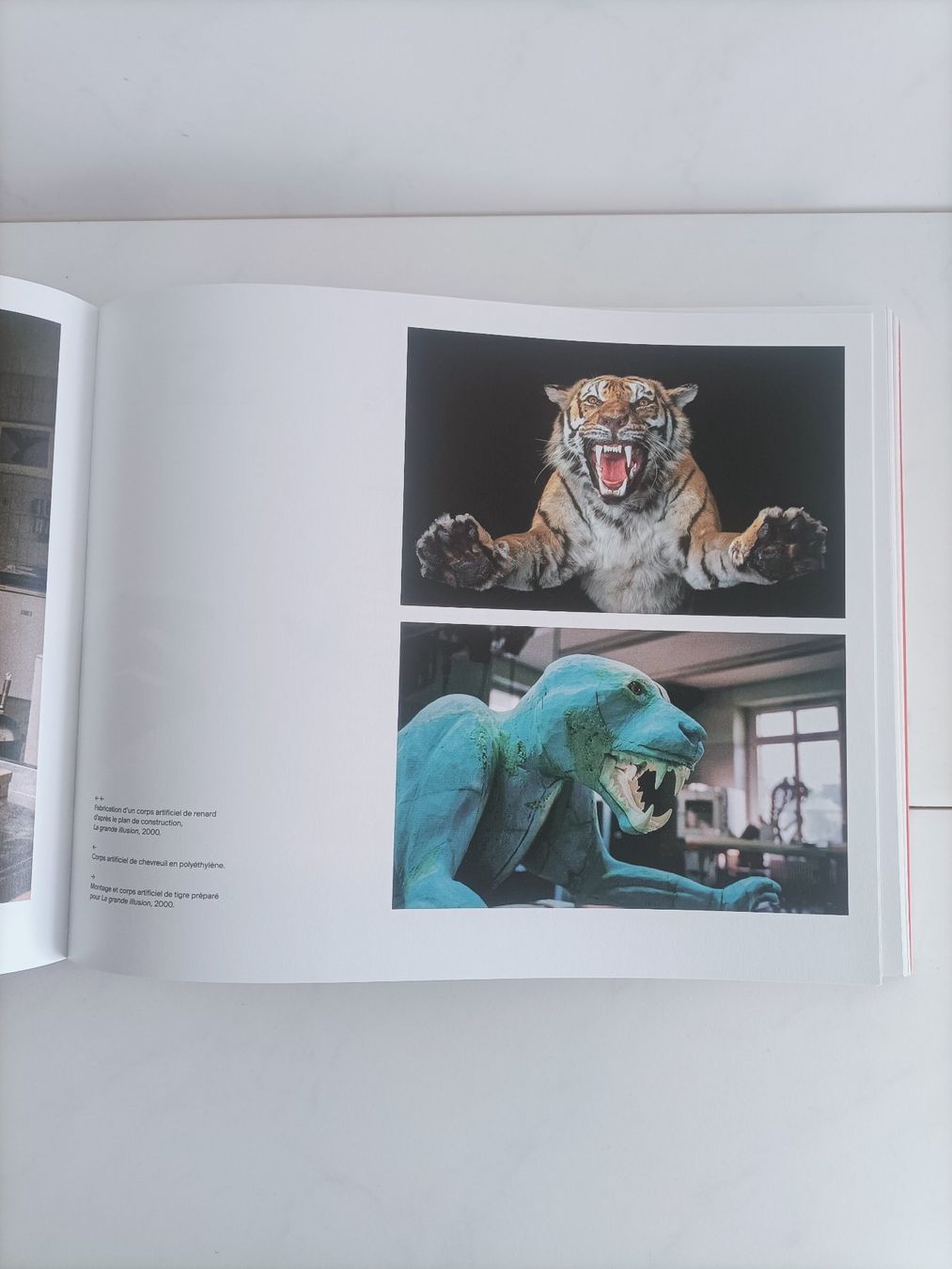Bücher: Le muséum Recto Verso Muséum d'histoire naturelle Neuchâtel – Gebraucht aus crans montana von AB3963 9