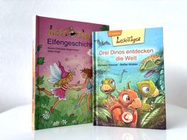 Erstlesebuch Lesetiger Kinderbuch Jugendbuch