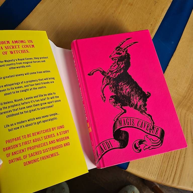 Libri: Juno Dawson FairyLoot Special editions – Usato da Schalchen venduto da shaddzydeluxe 1