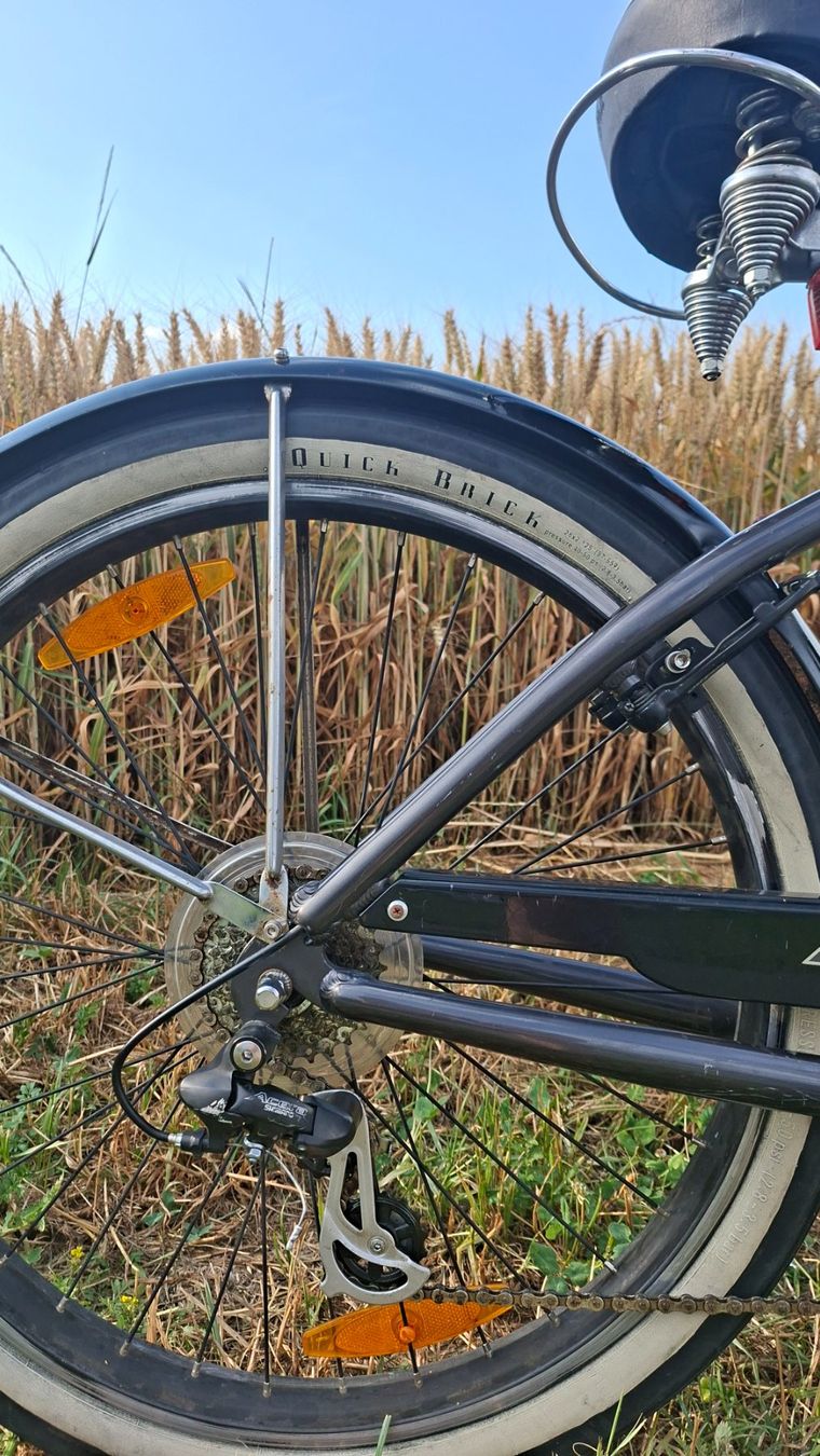 Felt Velos: Velo Felt Heritage Cruiser – Gebraucht aus Buchs SG von jon_n5w5 2