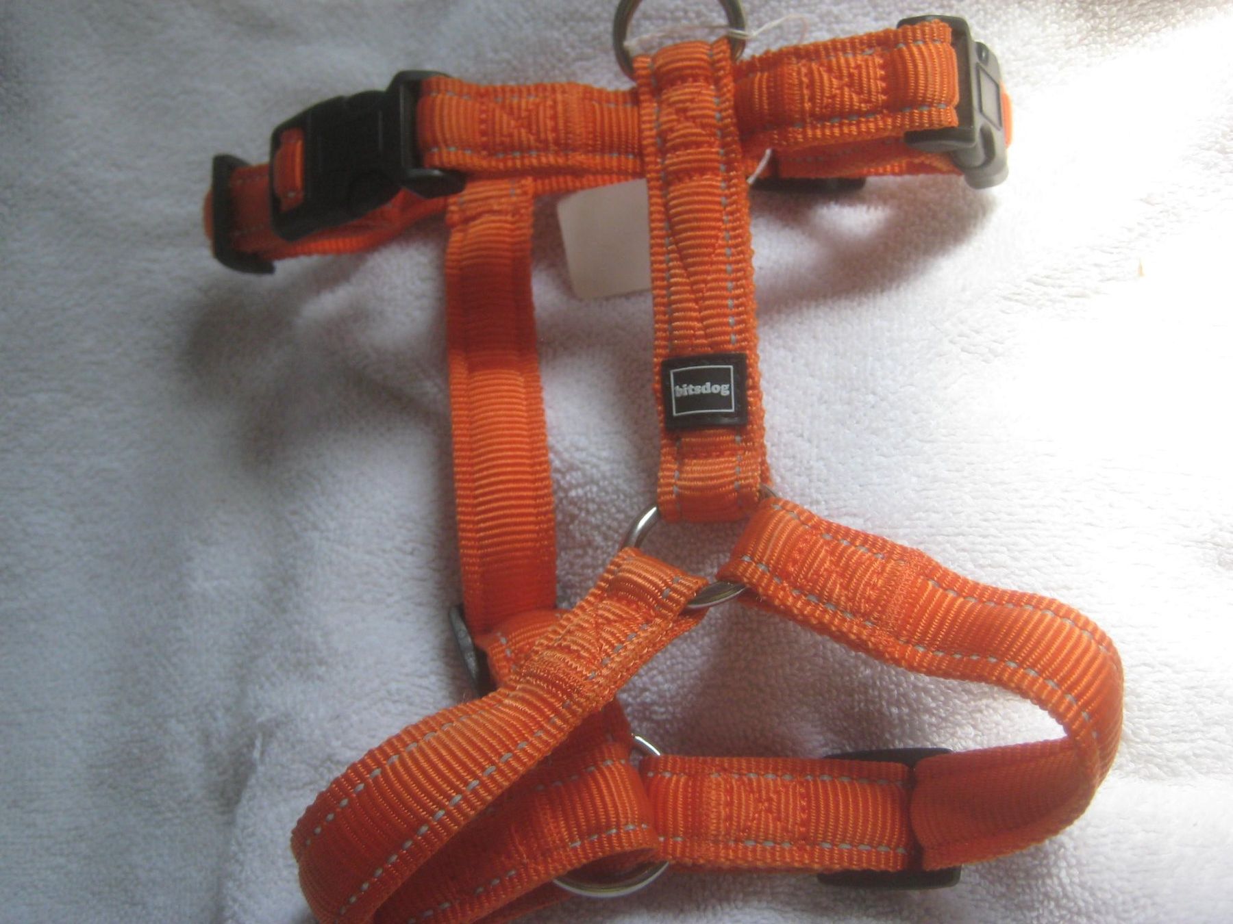 Collier et laisse: HUNDE  GESCHIRR – Neuf (Voir description) à Uster par flocke1