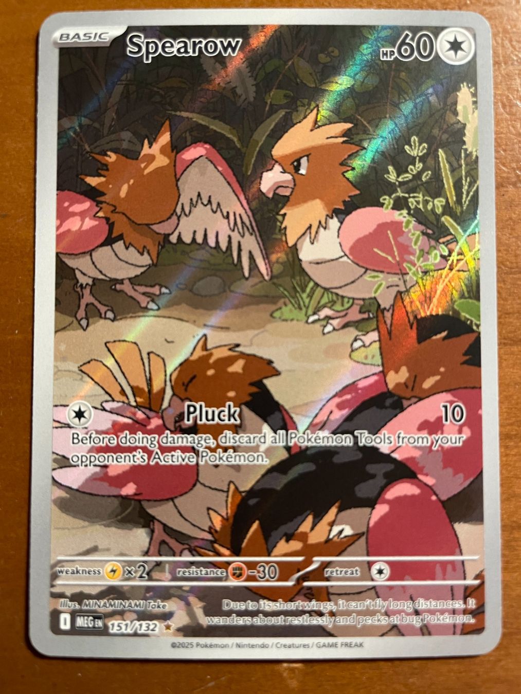 Pokémon Carte collezionabili: Pokemon Spearow (Versand gratis) – Nuovo (secondo la descrizione) da Chur venduto da Angerson