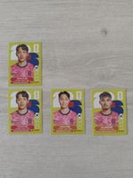 5er Set Panini FIFA WM Stickers Korea