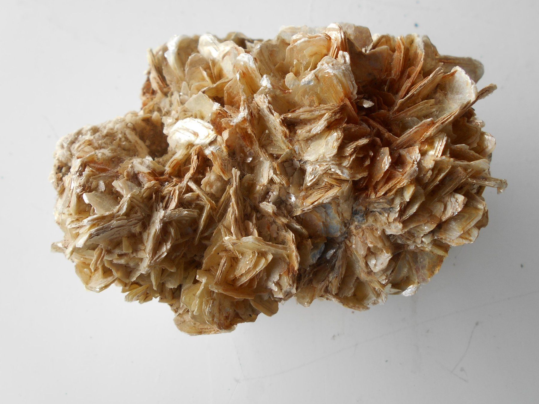 Mineralien & Heilsteine: Muskovit Stufe ca. 1,3 kg – Neu (gemäss Beschreibung) aus Zürich von swisscristal01