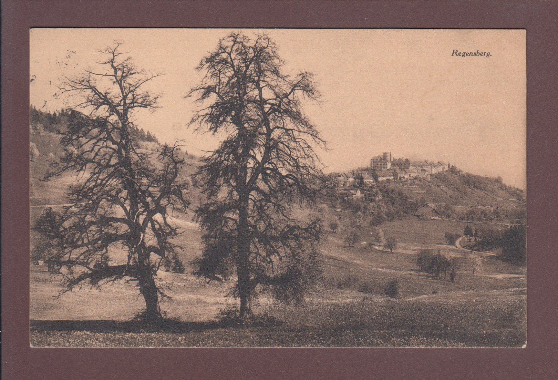 Cartoline postali: REGENSBERG - 1916 – Usato da Pully venduto da nicecards