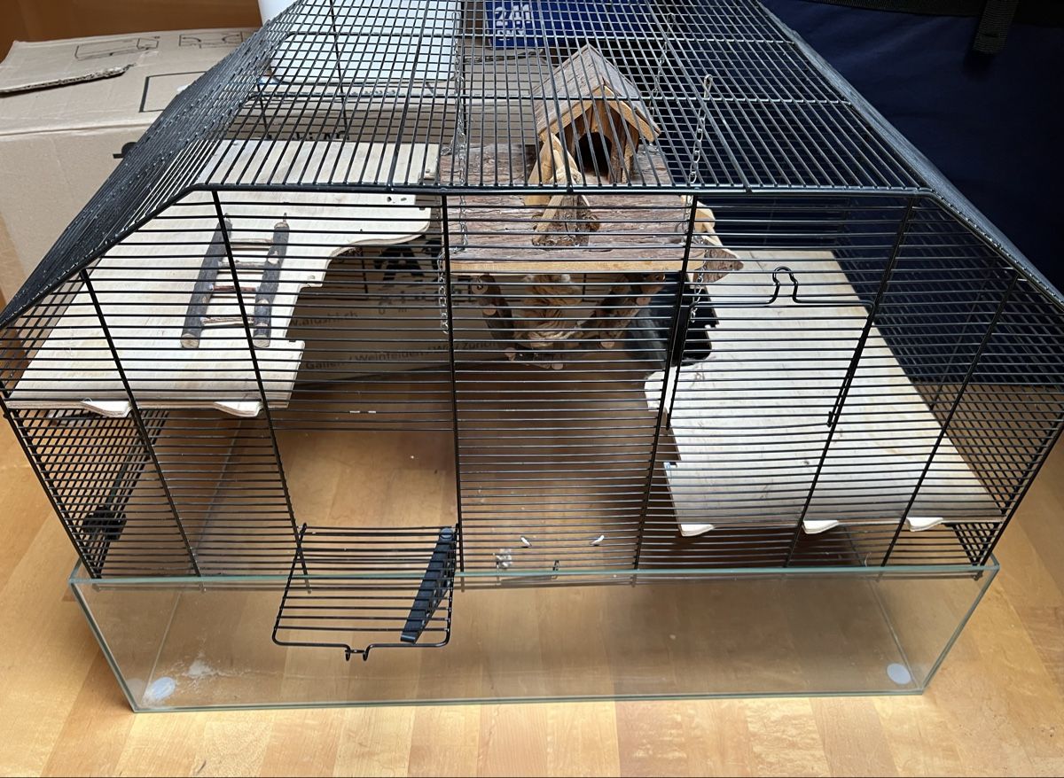 Cages, transport & sécurité: Hamsterkäfig – D'occasion à Grüningen par jomasa
