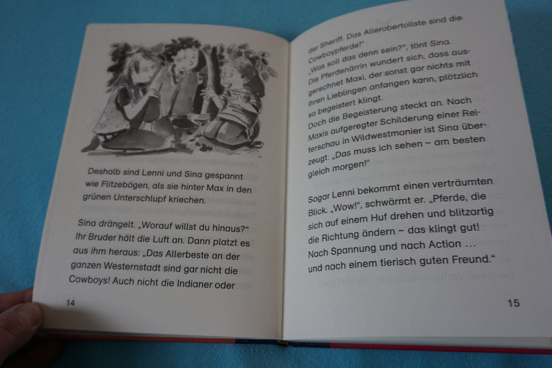 Libri: Buch Fohlen Sternchen – Usato da Zürich venduto da einalemjena 1