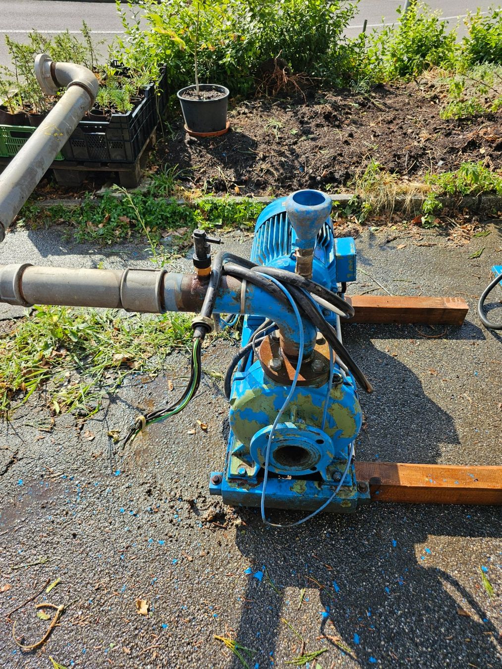 Pompe & Parti di ricambio: Wasserpumpe mit Schaltkasten – Usato da Aarburg venduto da Joerg.Andre 2