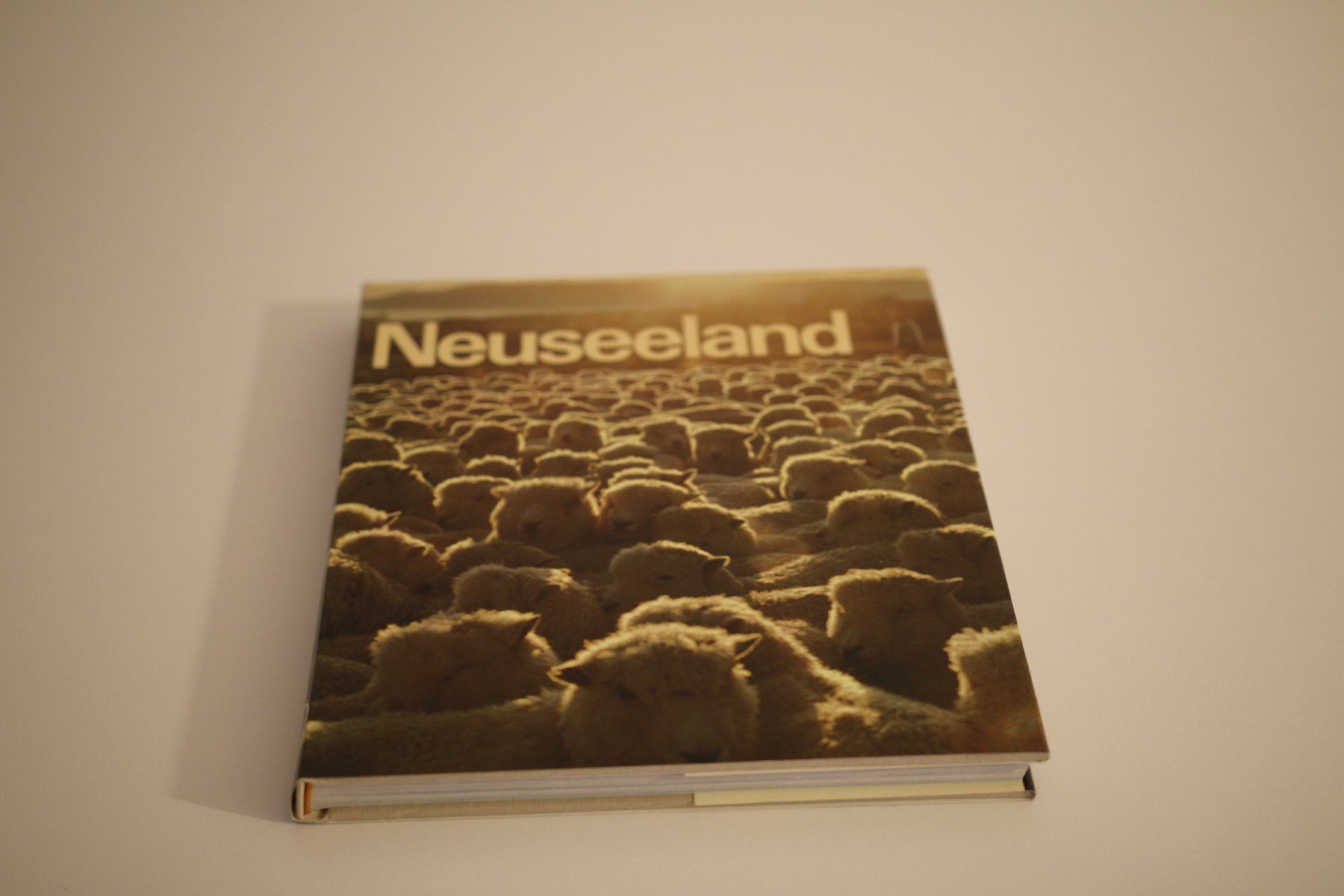 Libri: Neuseeland - Mondo Verlag – Usato da Thalwil venduto da ric_77ts
