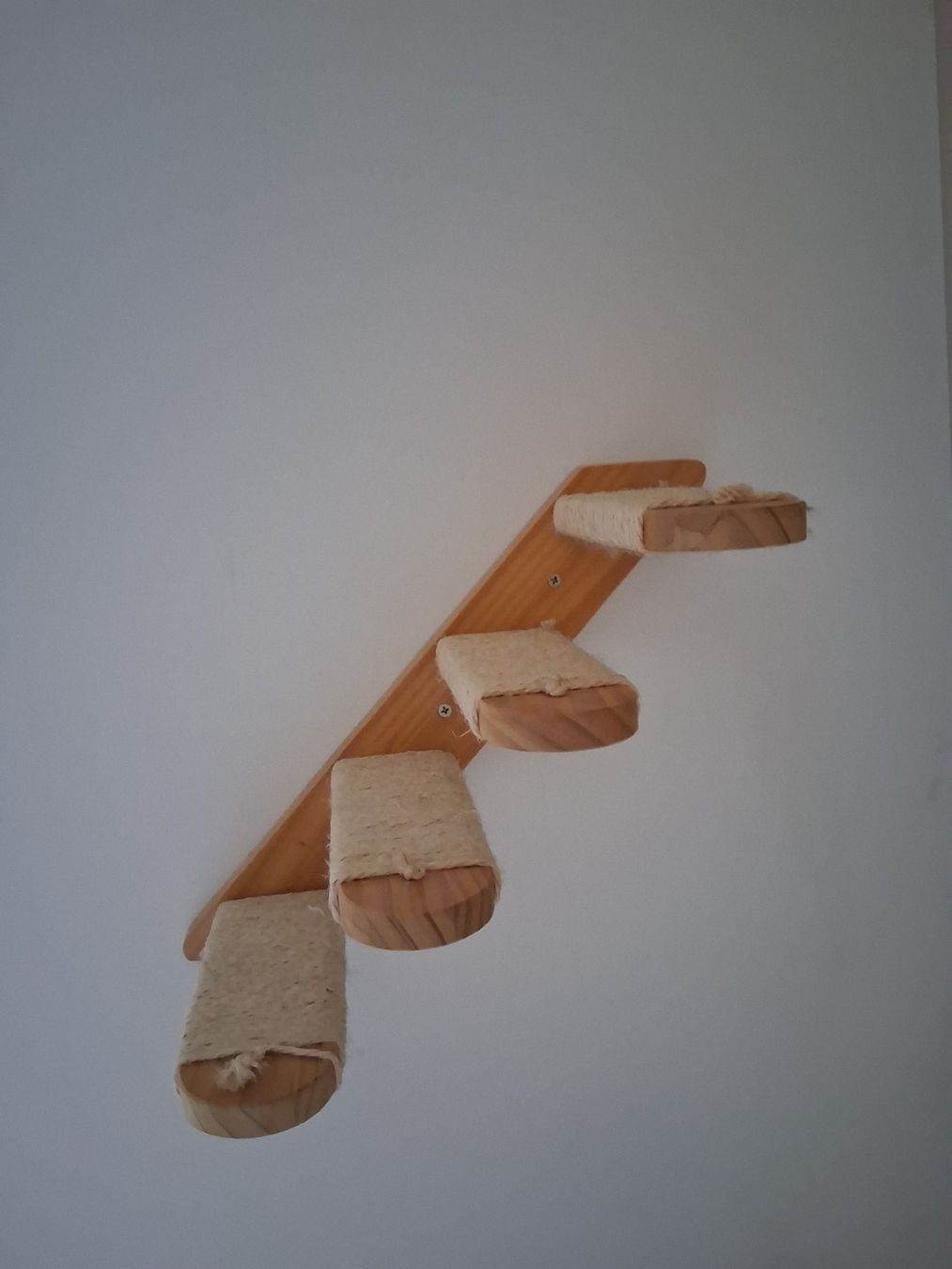 Cucce & Letti: Escalier mural et hamac pour chat – Nuovo (secondo la descrizione) da St-Légier-Chiésaz venduto da dma_699g 4