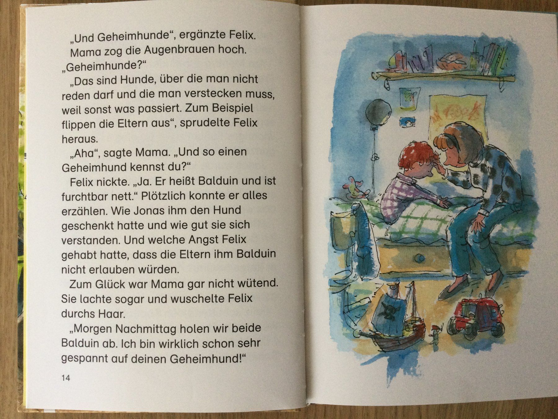 Libri: Leselöwen Geheimnisgeschichten – Usato da Boppelsen venduto da KASIBO 1