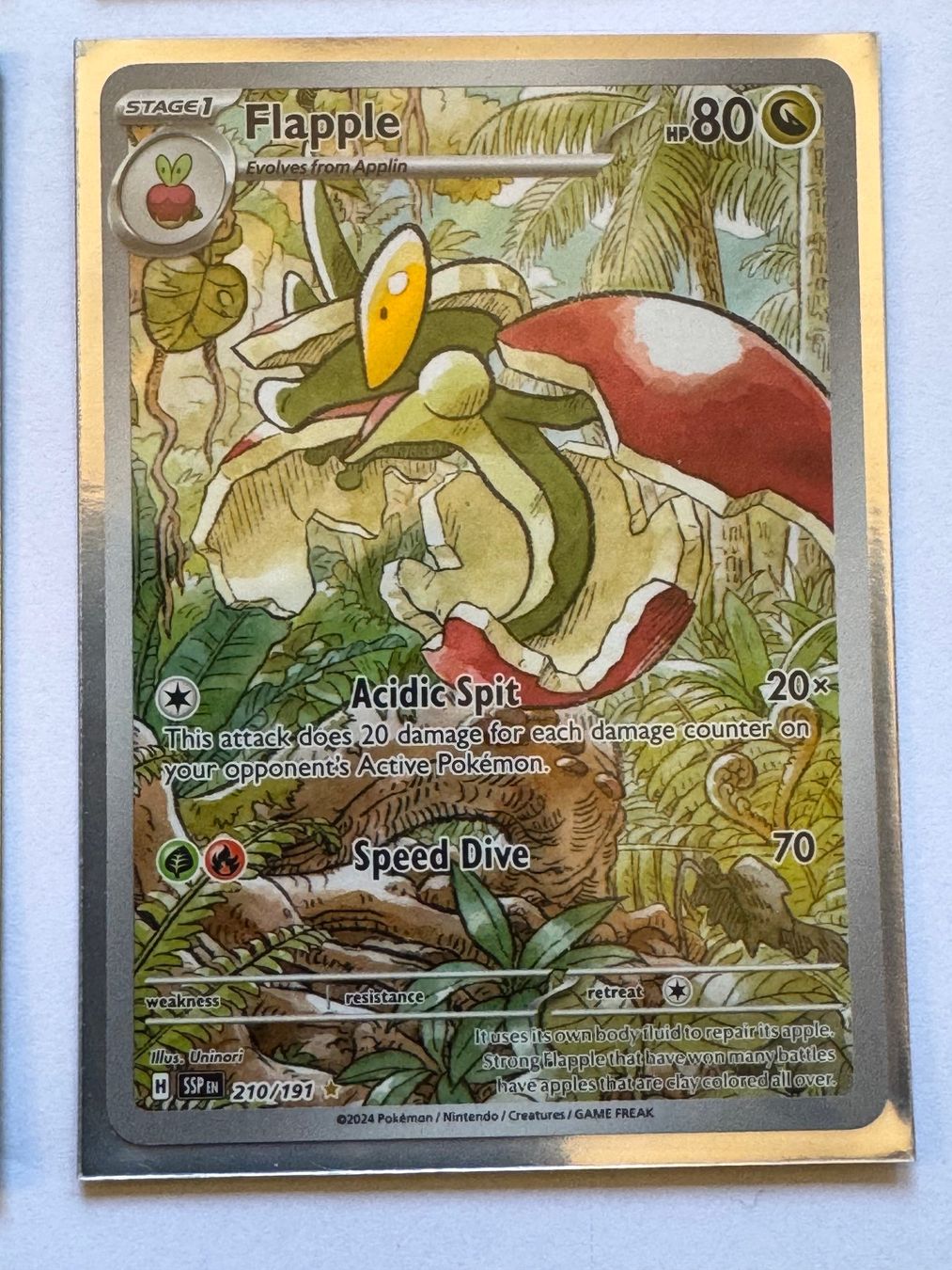 Pokémon Carte collezionabili: Pokemon Karten Kollektion Top Zustand – Nuovo (secondo la descrizione) da Glarus venduto da stefansp 7