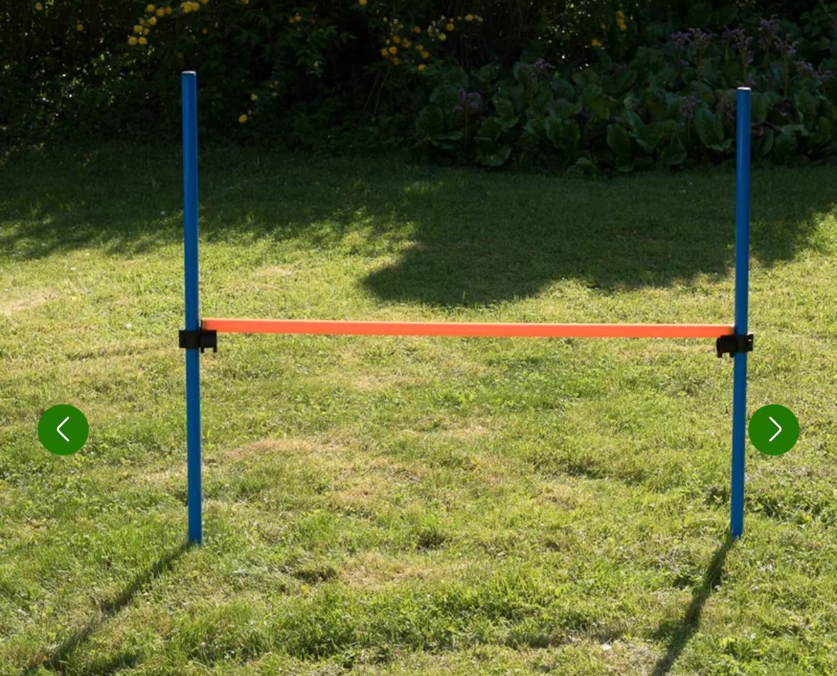 Spiele: Hunde Agility Set – Neu (gemäss Beschreibung) aus Baar von the_9vbc 4