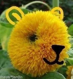 Giocattoli: Ours en Peluche ! 10g – Nuovo e nell'imballaggio originale da Bremblens venduto da FIBONACCI369 3
