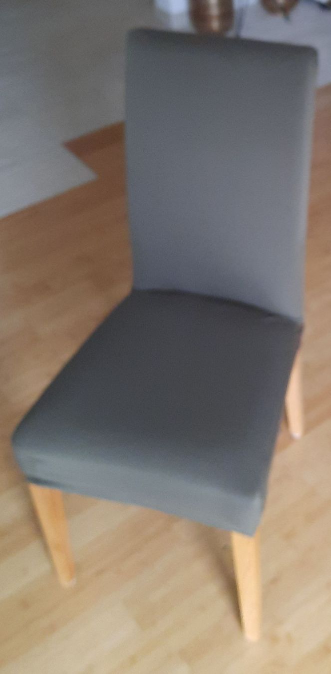 Sedie: 8 Stühle, SP Swiss Creation – Usato da Opfikon venduto da Postman0