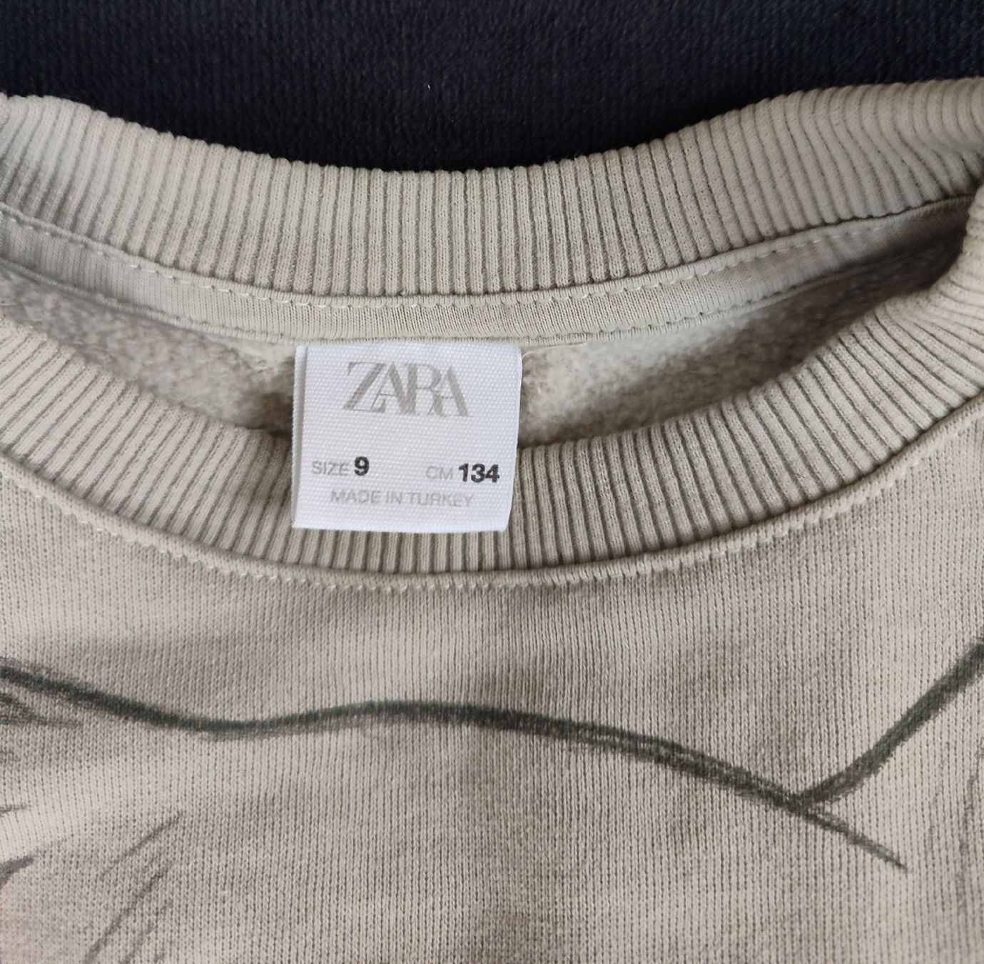 Maglioni & Felpe: Süsser Zara Löwenkönig Pullover Gr. 134 – Usato da Mülligen venduto da locademalaga 1