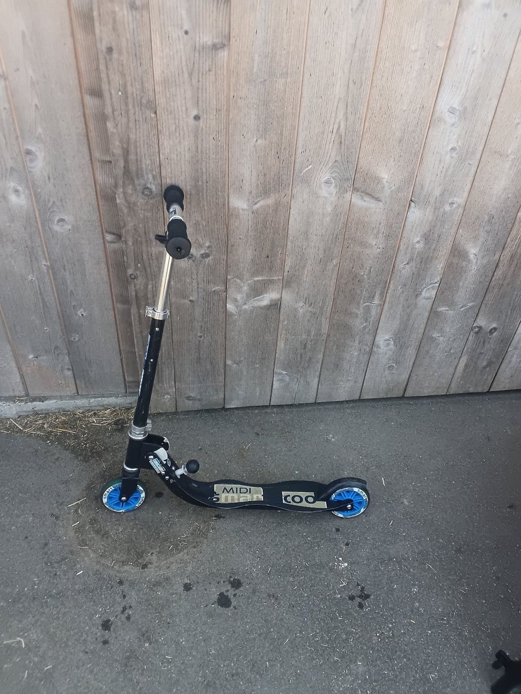 Kickboard: Trottinett – Usato da Lützelflüh venduto da fortuna87 1